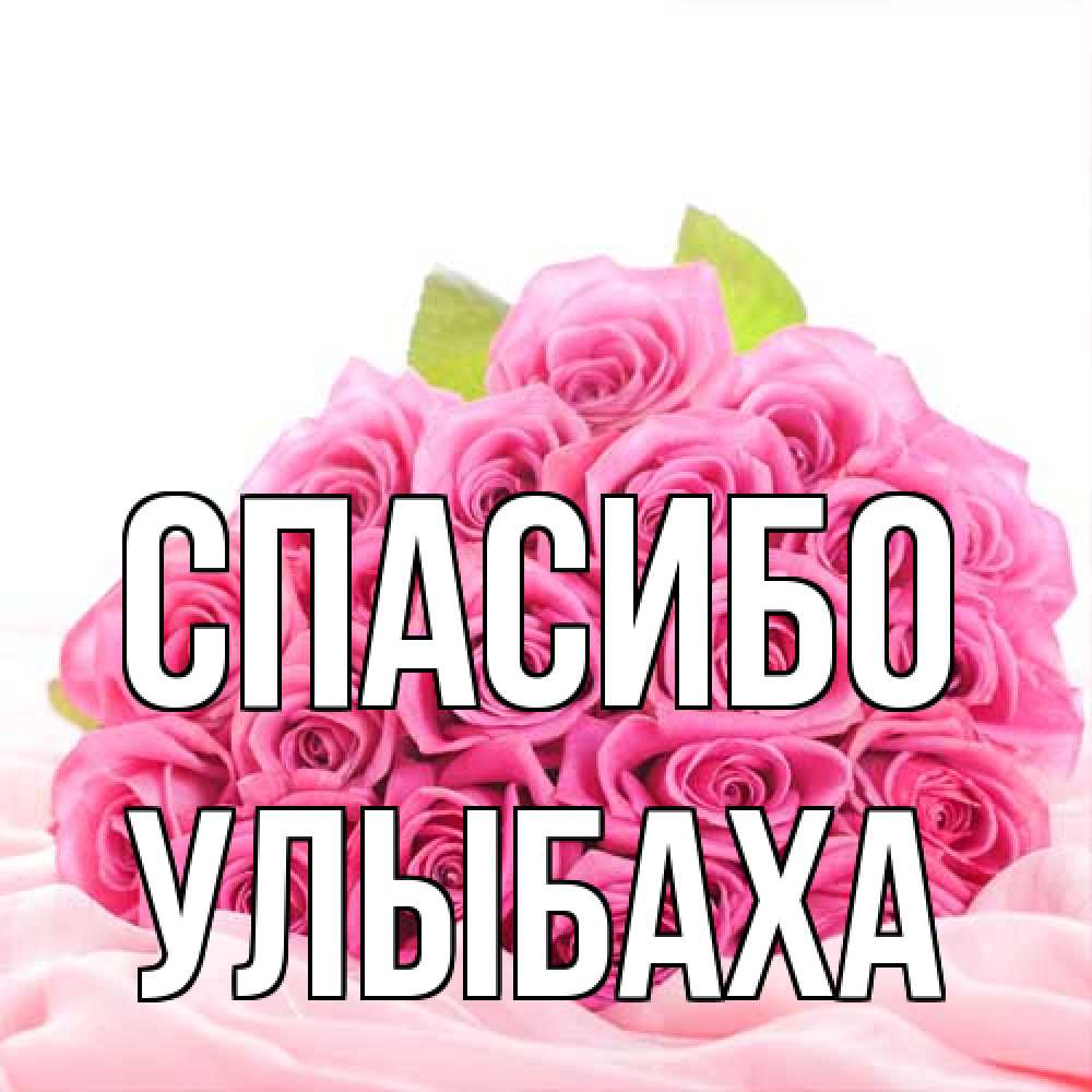 Открытка на каждый день с именем, Улыбаха Спасибо розовые розы с подписью Прикольная открытка с пожеланием онлайн скачать бесплатно 
