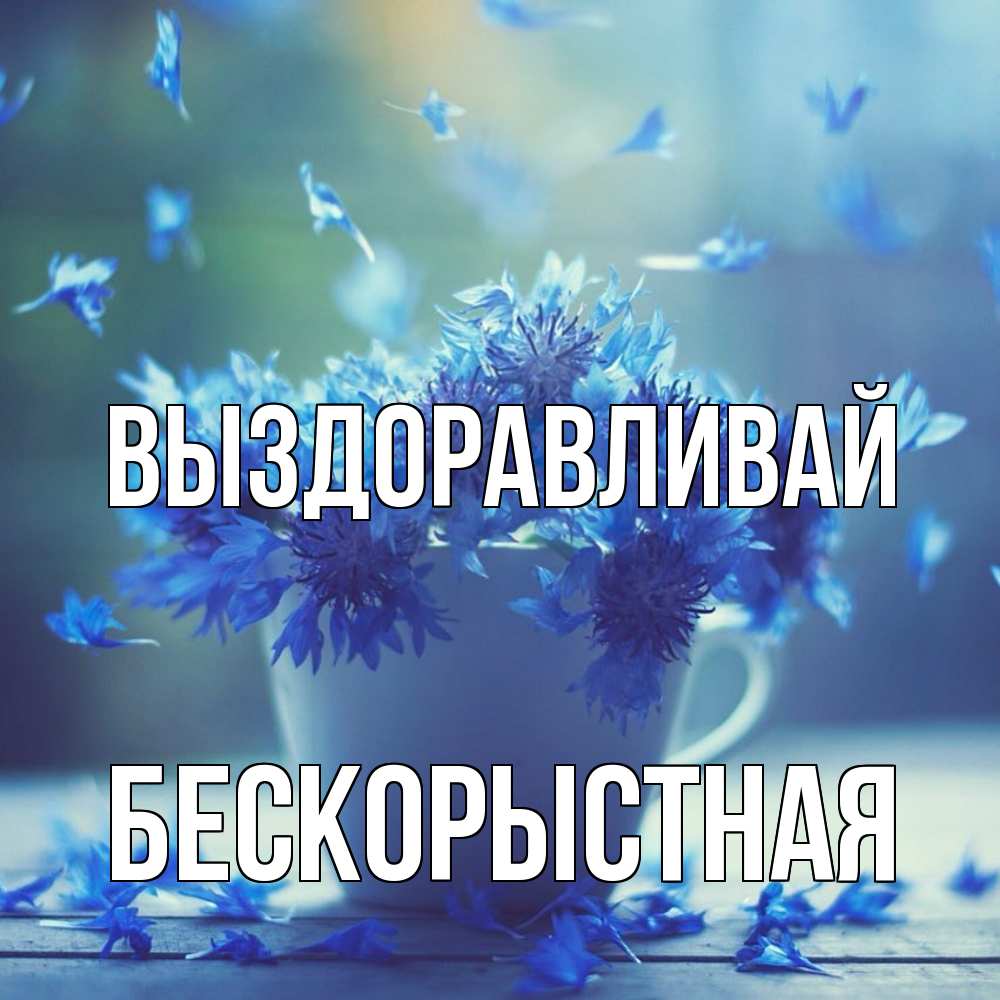 Открытка на каждый день с именем, Бескорыстная Выздоравливай кружка с зельем и цветами Прикольная открытка с пожеланием онлайн скачать бесплатно 