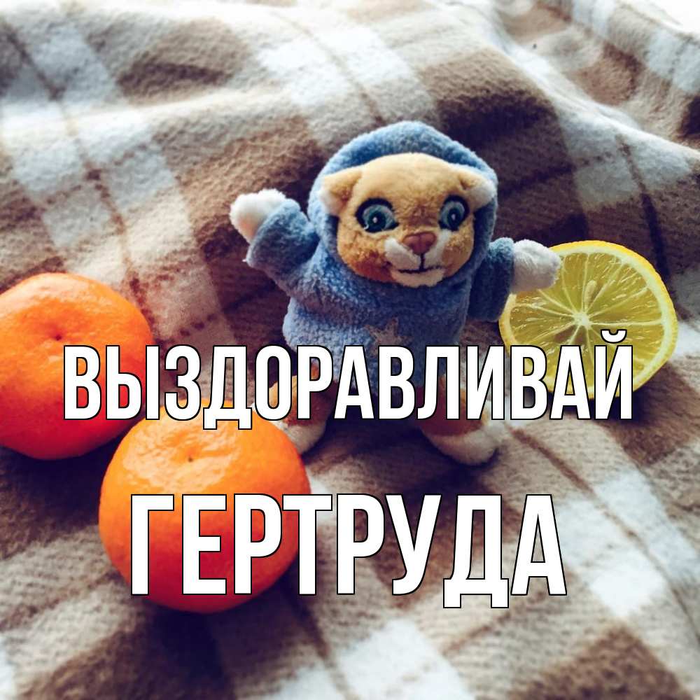 Открытка на каждый день с именем, Гертруда Выздоравливай вот тебе апельсинка и лимон Прикольная открытка с пожеланием онлайн скачать бесплатно 