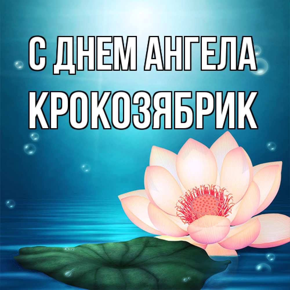 Открытка на каждый день с именем, крокозябрик С днем ангела кувшинка Прикольная открытка с пожеланием онлайн скачать бесплатно 