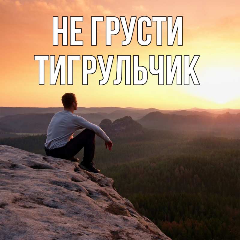 Картинка Не грусти, Тигpульчик