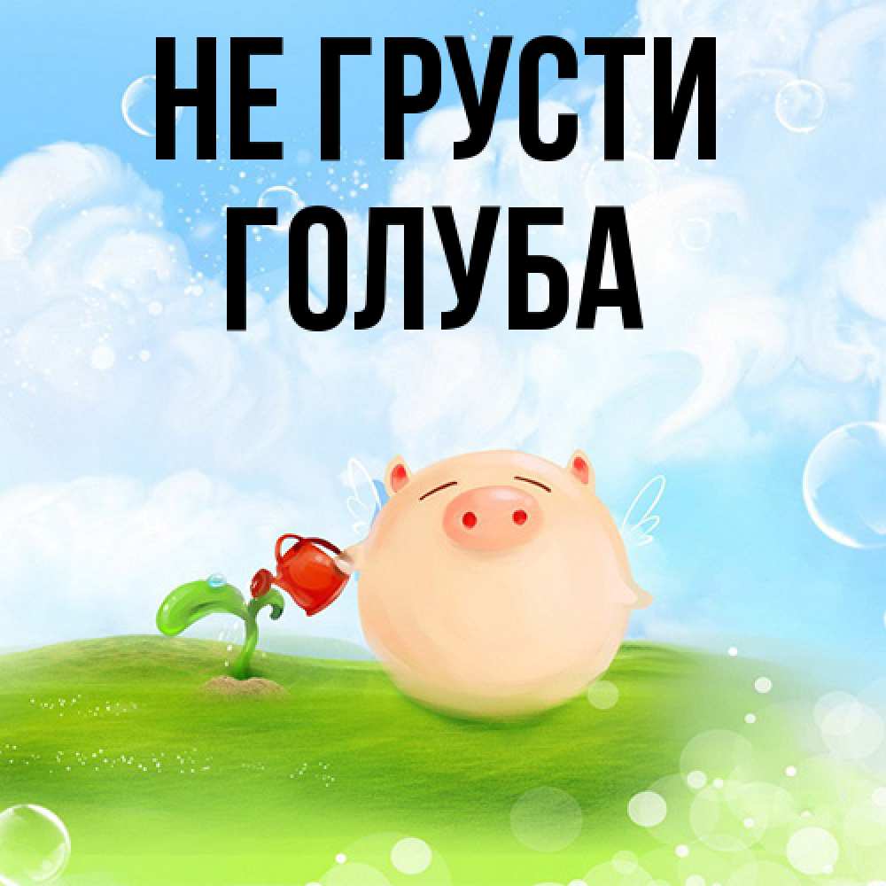 Открытка на каждый день с именем, Голуба Не грусти поливает цветок порося Прикольная открытка с пожеланием онлайн скачать бесплатно 