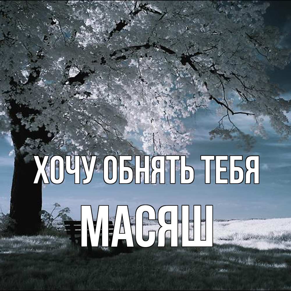 Открытка на каждый день с именем, Масяш Хочу обнять тебя дерево Прикольная открытка с пожеланием онлайн скачать бесплатно 