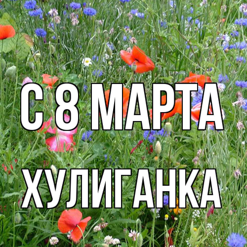 Открытка на каждый день с именем, Хулиганка C 8 МАРТА международный женский день 4 Прикольная открытка с пожеланием онлайн скачать бесплатно 