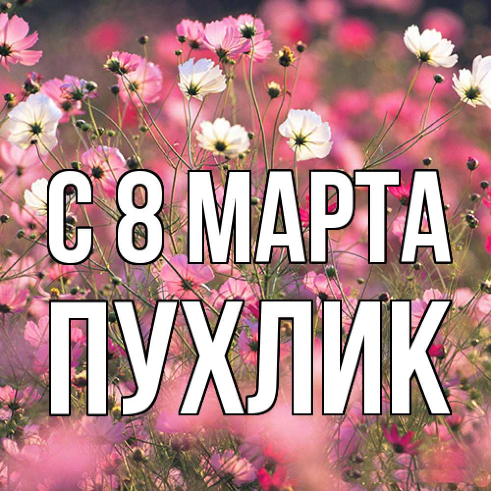 Открытка на каждый день с именем, пухлик C 8 МАРТА красиво 1 Прикольная открытка с пожеланием онлайн скачать бесплатно 