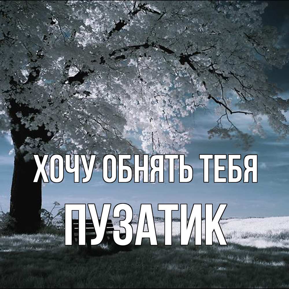 Открытка на каждый день с именем, Пузатик Хочу обнять тебя дерево Прикольная открытка с пожеланием онлайн скачать бесплатно 