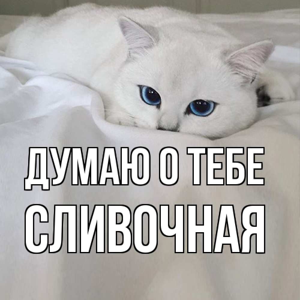 Открытка на каждый день с именем, Сливочная Думаю о тебе я очень по тебе скучаю и тоскую Прикольная открытка с пожеланием онлайн скачать бесплатно 