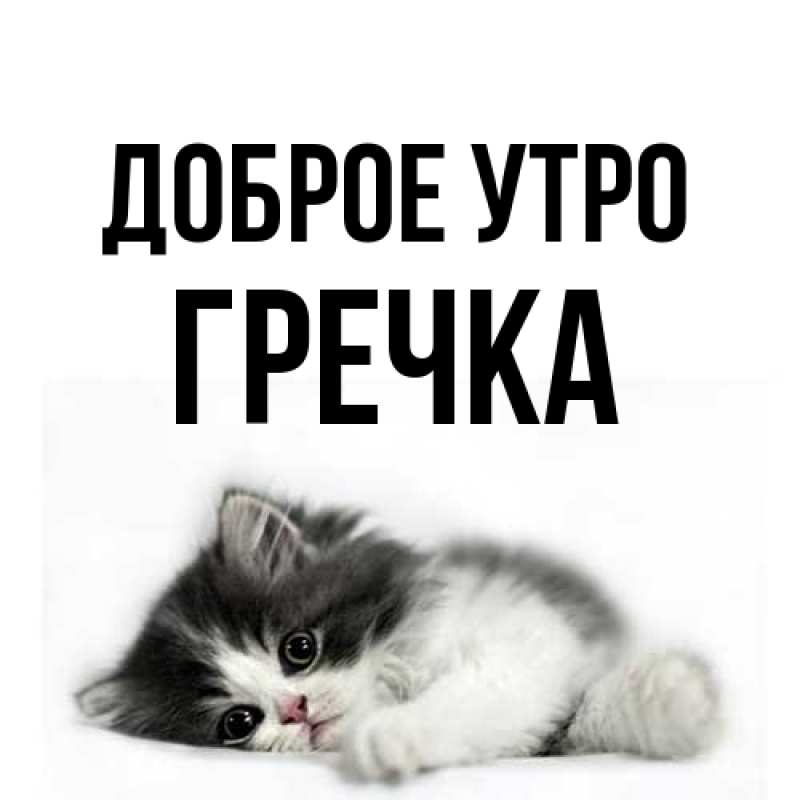 Картинка Доброе утро, Гречка