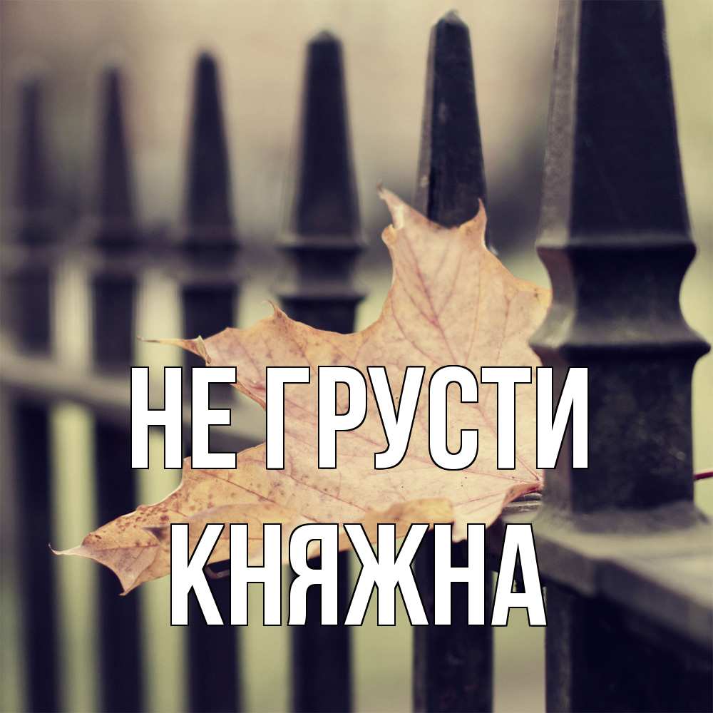 Открытка на каждый день с именем, Княжна Не грусти лист клена Прикольная открытка с пожеланием онлайн скачать бесплатно 