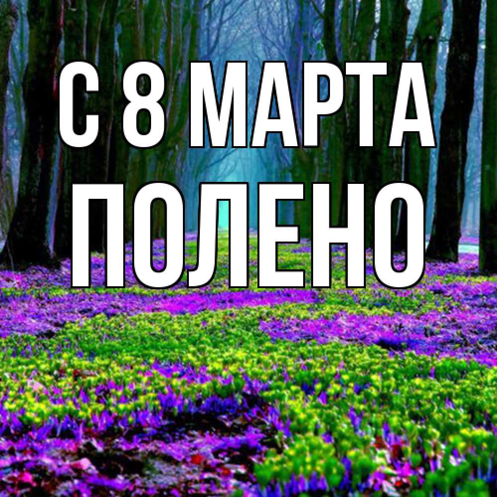Открытка на каждый день с именем, Полено C 8 МАРТА фиолетовые цветы в лесу 1 Прикольная открытка с пожеланием онлайн скачать бесплатно 