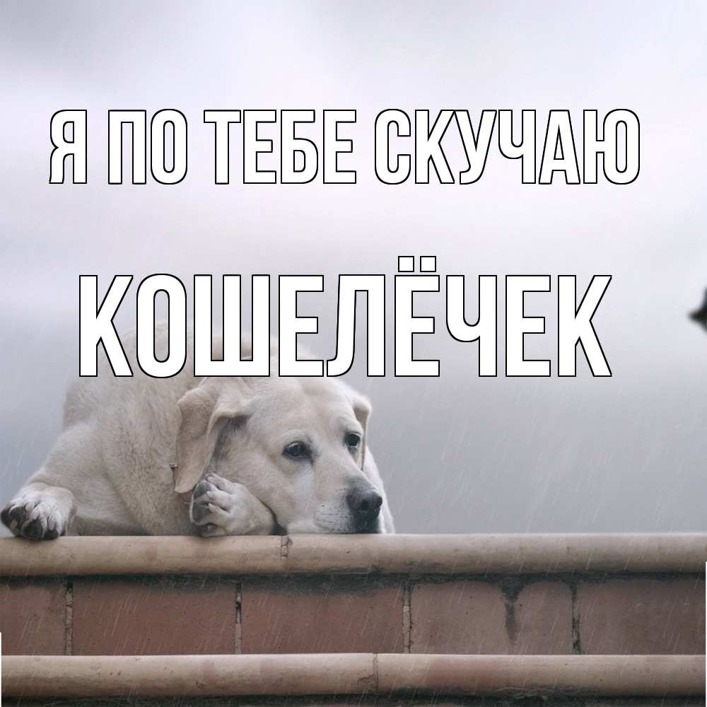 Открытка на каждый день с именем, кошелёчек Я по тебе скучаю ждет Прикольная открытка с пожеланием онлайн скачать бесплатно 