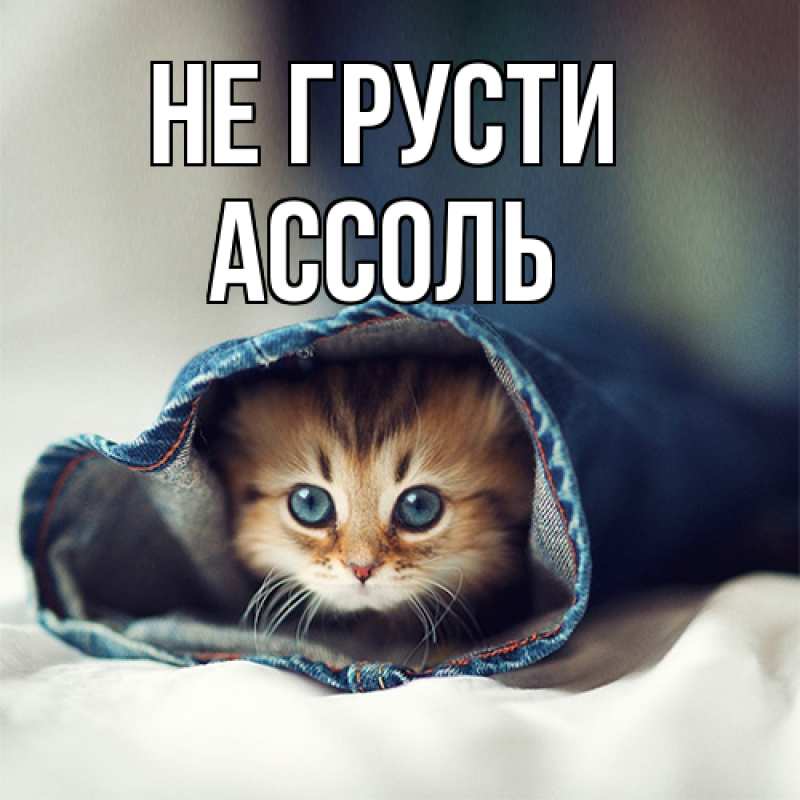 Картинка Не грусти, Ассоль
