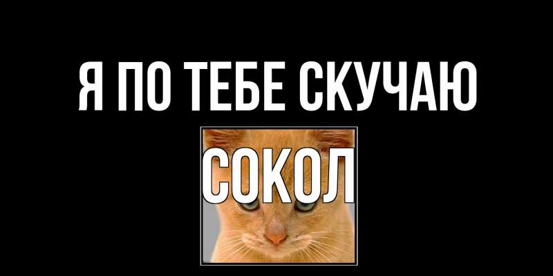 Картинка Я по тебе скучаю, Сокол