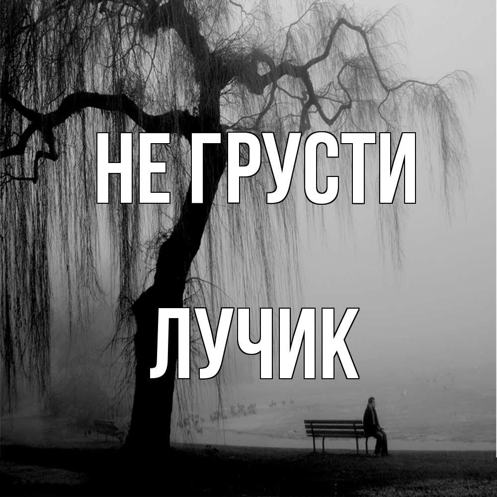 Открытка на каждый день с именем, Лучик Не грусти висящие ветки дерева и лавочка под деревом Прикольная открытка с пожеланием онлайн скачать бесплатно 