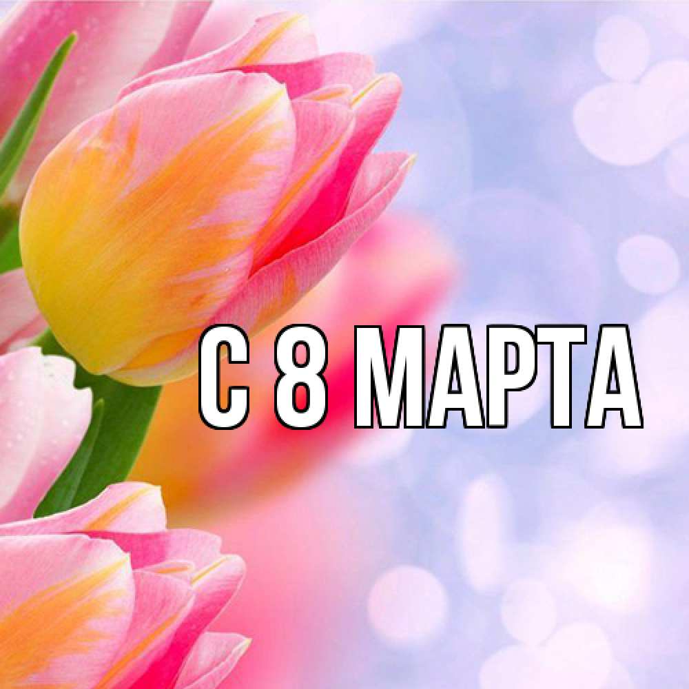 Открытка на каждый день с именем, выберите-имя C 8 МАРТА тюльпаны 2 Прикольная открытка с пожеланием онлайн скачать бесплатно 