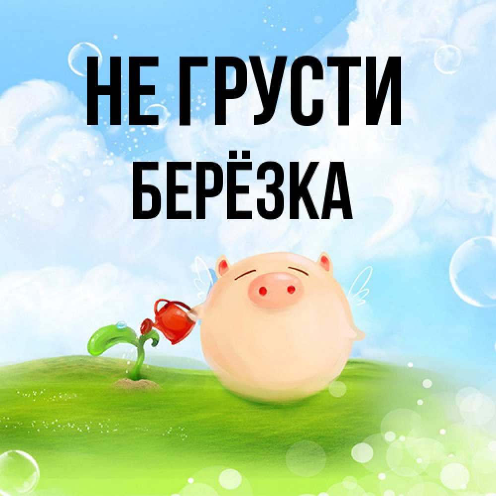 Открытка на каждый день с именем, Берёзка Не грусти поливает цветок порося Прикольная открытка с пожеланием онлайн скачать бесплатно 