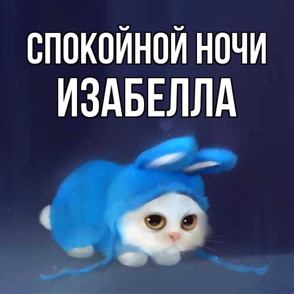 Открытка на каждый день с именем, Изабелла Спокойной ночи кот в голубом костюме кролика с ушками Прикольная открытка с пожеланием онлайн скачать бесплатно 