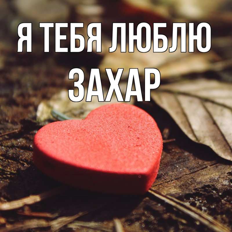 Картинка Я тебя люблю, Захар