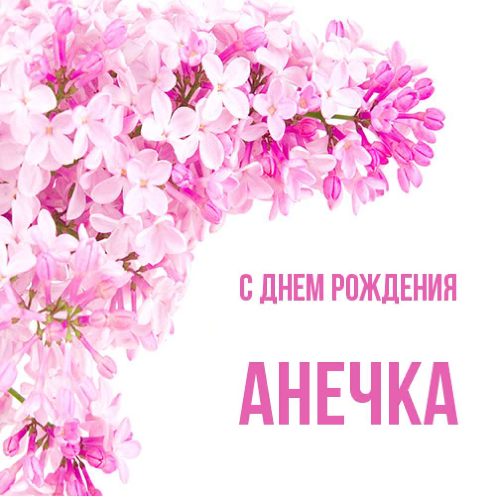 Открытка на каждый день с именем, Анечка С днем рождения Сирень на белом фоне Прикольная открытка с пожеланием онлайн скачать бесплатно 