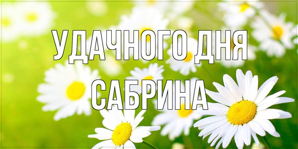Открытка на каждый день с именем, Сабрина Удачного дня открытка с ромашками на зеленом фоне Прикольная открытка с пожеланием онлайн скачать бесплатно 