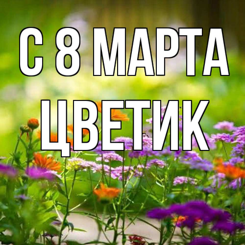 Открытка на каждый день с именем, цветик C 8 МАРТА цветы Прикольная открытка с пожеланием онлайн скачать бесплатно 