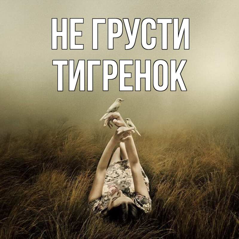 Картинка Не грусти, Тигpенок
