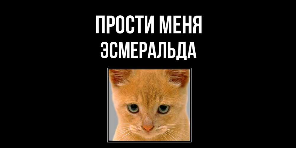 Открытка на каждый день с именем, Эсмеральда Прости меня рыжий грустный кот просит прощения Прикольная открытка с пожеланием онлайн скачать бесплатно 
