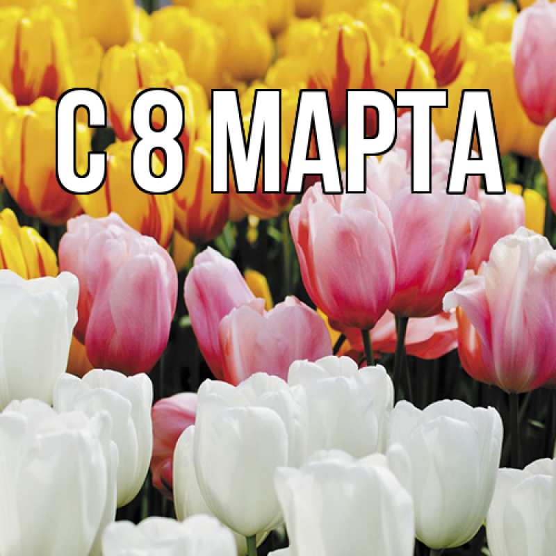 Картинка C 8 МАРТА, 