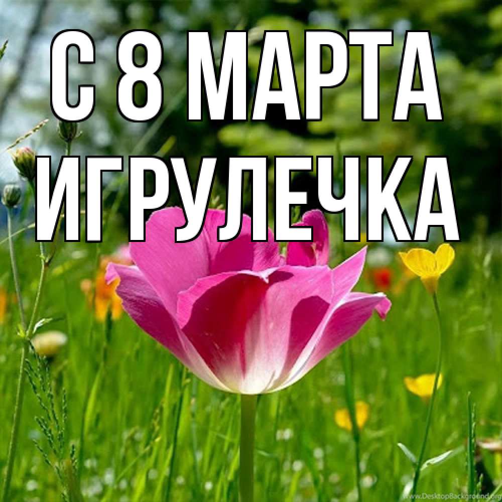 Открытка на каждый день с именем, Игрулечка C 8 МАРТА полевые цветы Прикольная открытка с пожеланием онлайн скачать бесплатно 