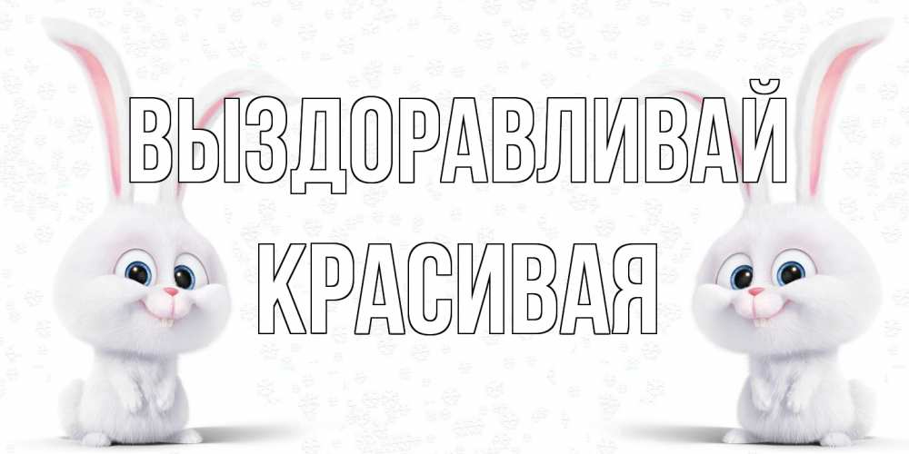 Открытка на каждый день с именем, Красивая Выздоравливай не болей с зайцем Прикольная открытка с пожеланием онлайн скачать бесплатно 