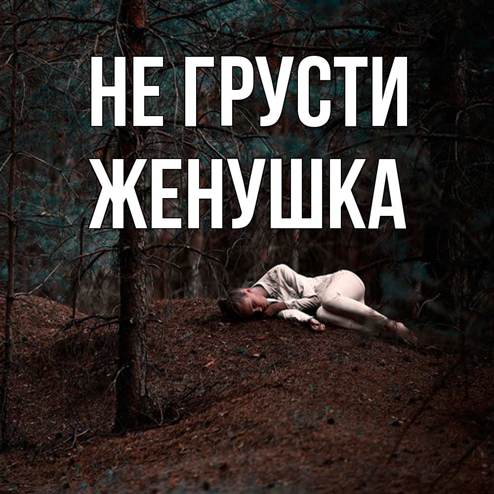Открытка на каждый день с именем, женушка Не грусти лес Прикольная открытка с пожеланием онлайн скачать бесплатно 