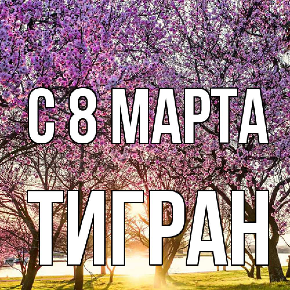 Открытка на каждый день с именем, Тигран C 8 МАРТА международный женский день Прикольная открытка с пожеланием онлайн скачать бесплатно 