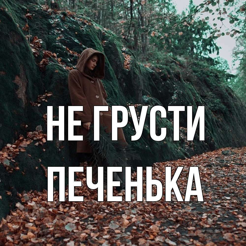 Открытка на каждый день с именем, Печенька Не грусти осенний лес Прикольная открытка с пожеланием онлайн скачать бесплатно 