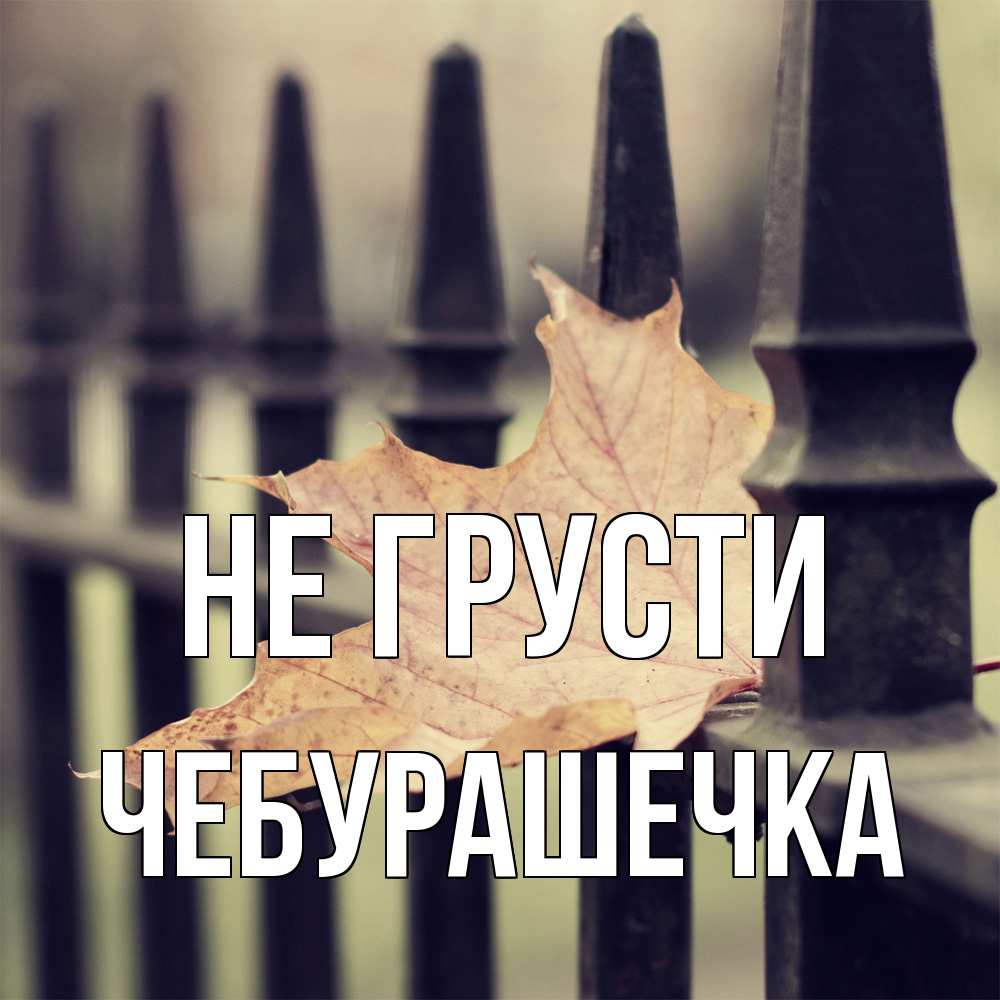 Открытка на каждый день с именем, Чебурашечка Не грусти лист клена Прикольная открытка с пожеланием онлайн скачать бесплатно 