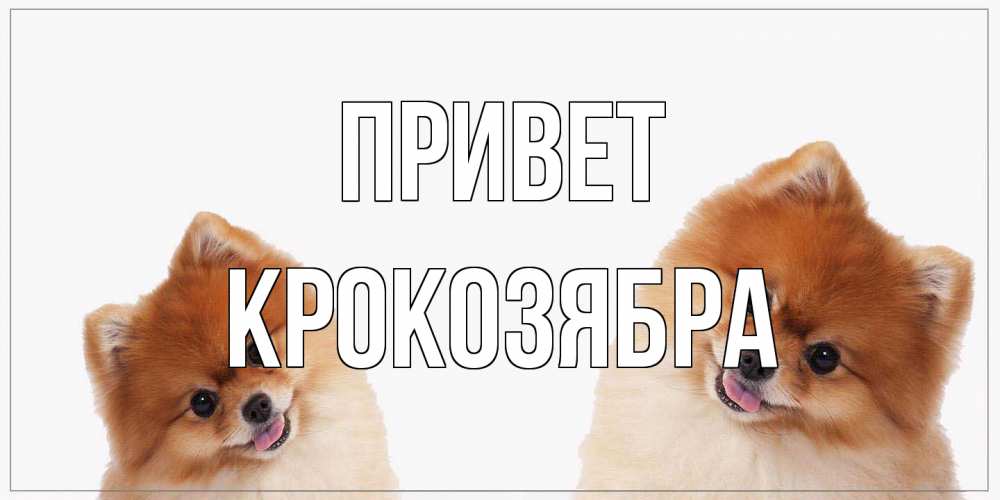 Открытка на каждый день с именем, Крокозябра Привет привет Прикольная открытка с пожеланием онлайн скачать бесплатно 