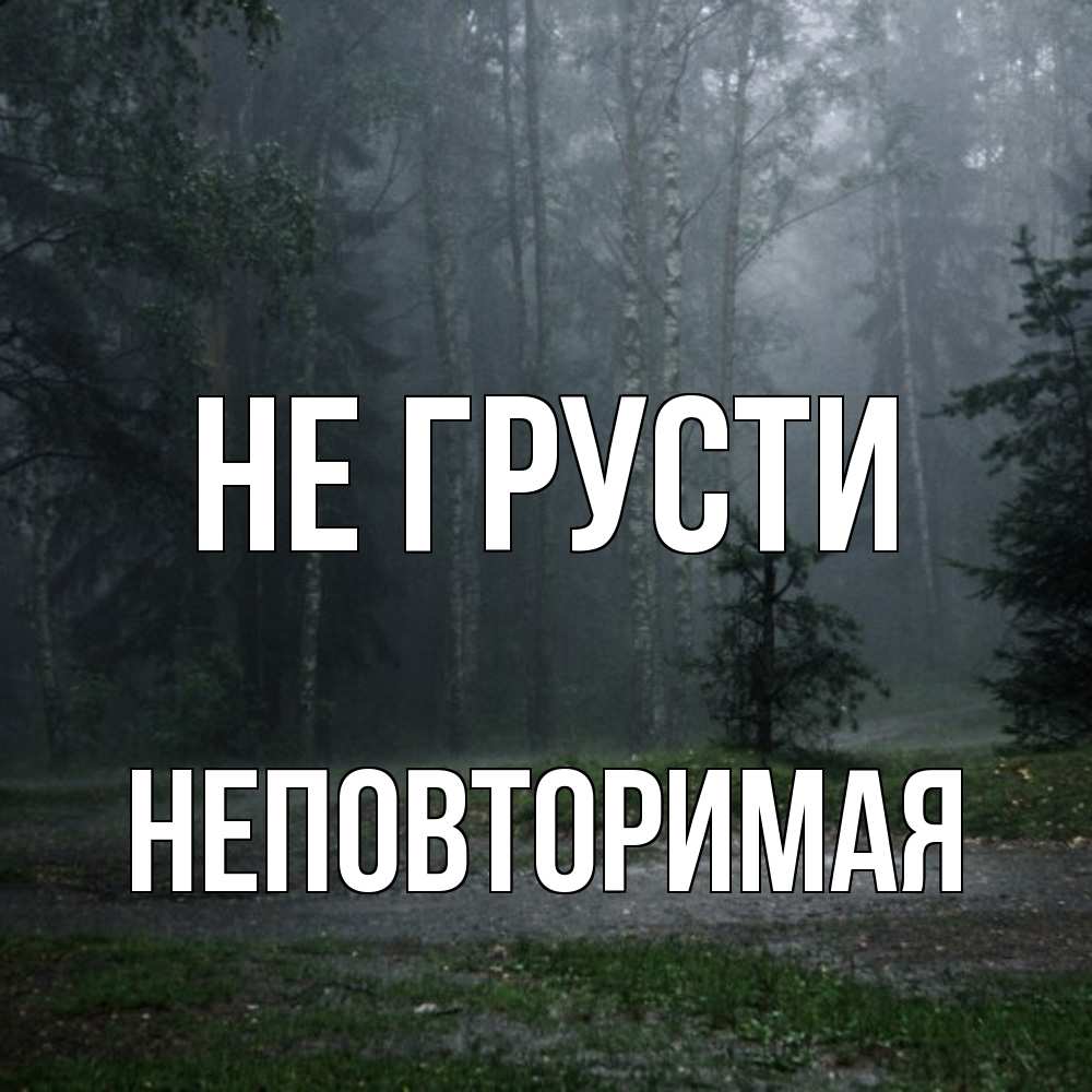 Открытка на каждый день с именем, Неповторимая Не грусти осень Прикольная открытка с пожеланием онлайн скачать бесплатно 