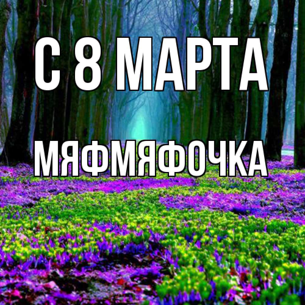 Открытка на каждый день с именем, мяфмяфочка C 8 МАРТА фиолетовые цветы в лесу 1 Прикольная открытка с пожеланием онлайн скачать бесплатно 
