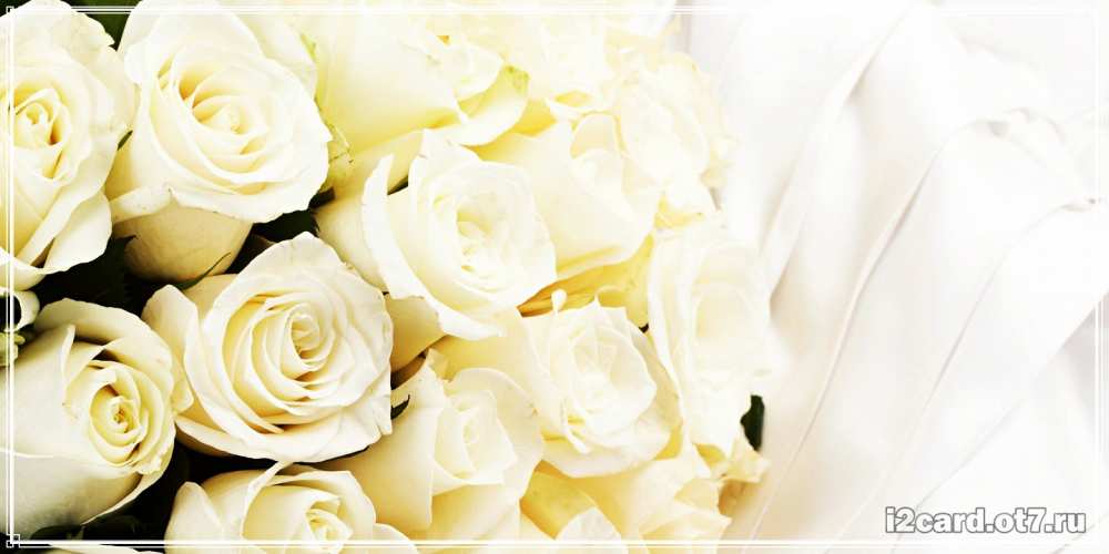 открытки белые розы с днем рождения
