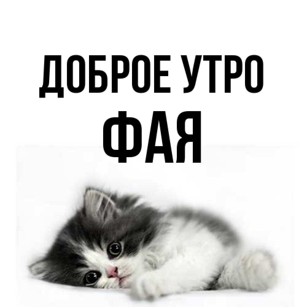 Открытка на каждый день с именем, Фая Доброе утро кот лапки Прикольная открытка с пожеланием онлайн скачать бесплатно 