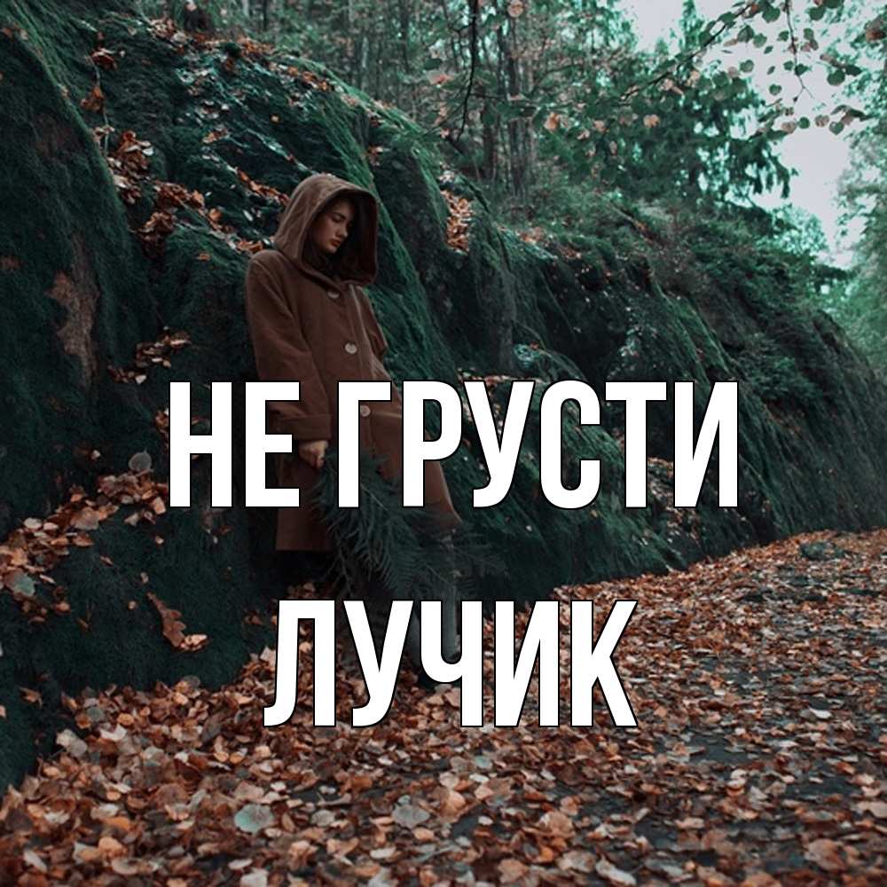 Открытка на каждый день с именем, Лучик Не грусти осенний лес Прикольная открытка с пожеланием онлайн скачать бесплатно 