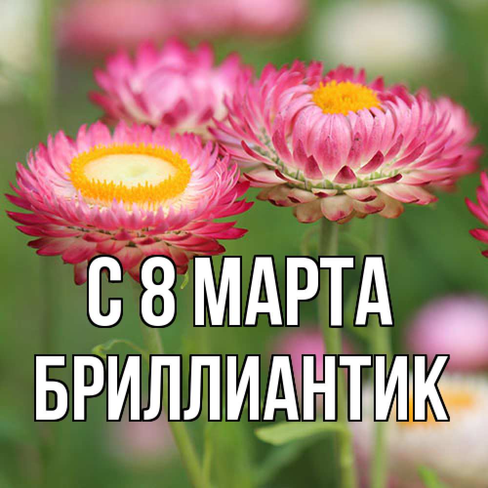 Открытка на каждый день с именем, Бриллиантик C 8 МАРТА подарок на международный женский день Прикольная открытка с пожеланием онлайн скачать бесплатно 