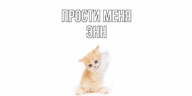 Картинка Прости меня, Энн