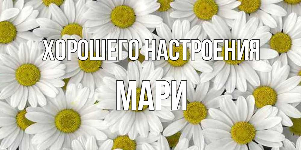 Открытка на каждый день с именем, Мари Хорошего настроения поляна ромашек Прикольная открытка с пожеланием онлайн скачать бесплатно 