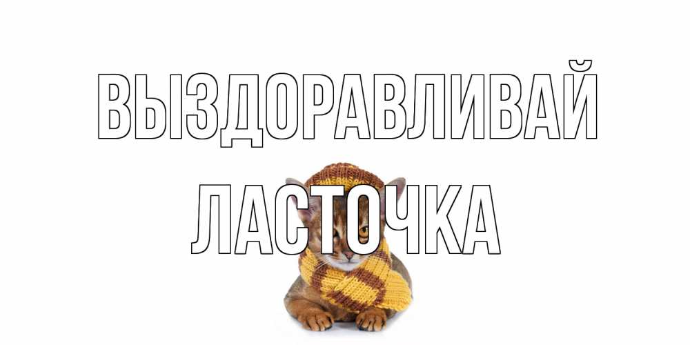 Открытка на каждый день с именем, Ласточка Выздоравливай родные не болейте Прикольная открытка с пожеланием онлайн скачать бесплатно 