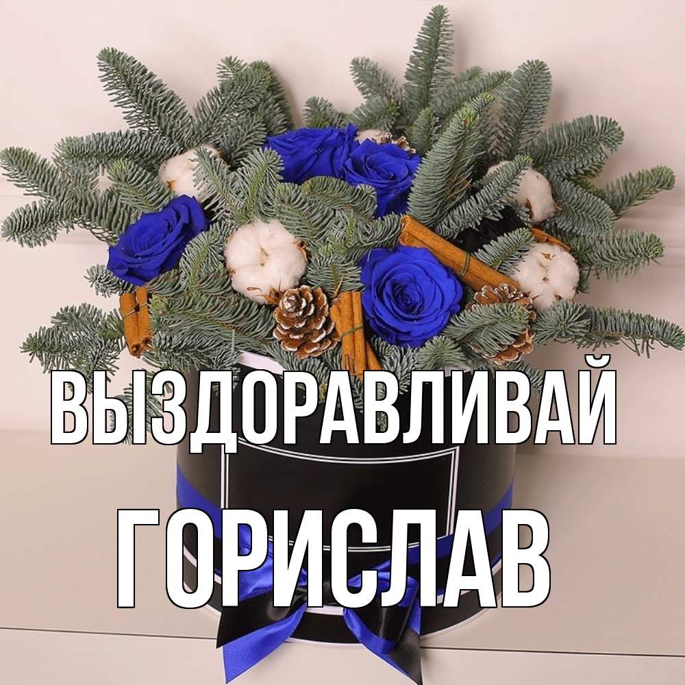 Открытка на каждый день с именем, Горислав Выздоравливай короче кто то загрузил эти шишки Прикольная открытка с пожеланием онлайн скачать бесплатно 