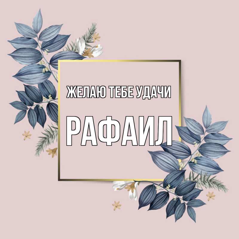 Картинка Желаю тебе удачи, Рафаил
