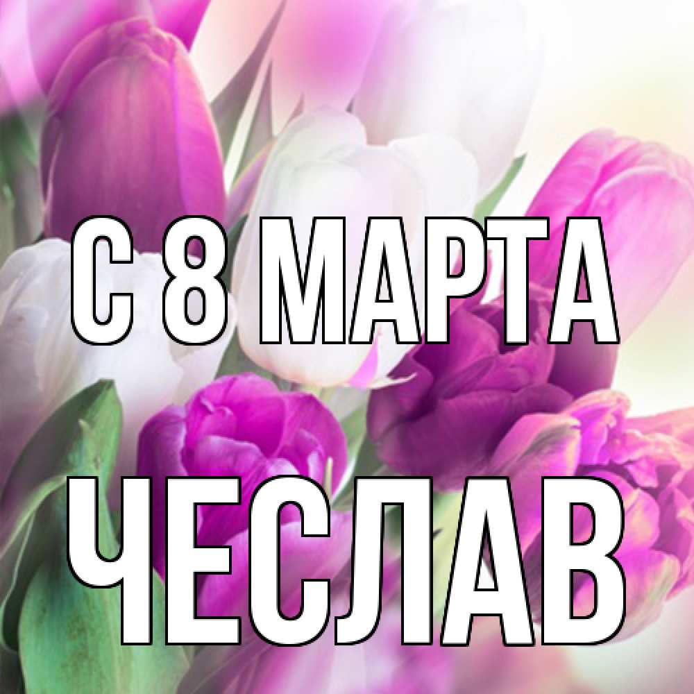 Открытка на каждый день с именем, Чеслав C 8 МАРТА весна 1 Прикольная открытка с пожеланием онлайн скачать бесплатно 
