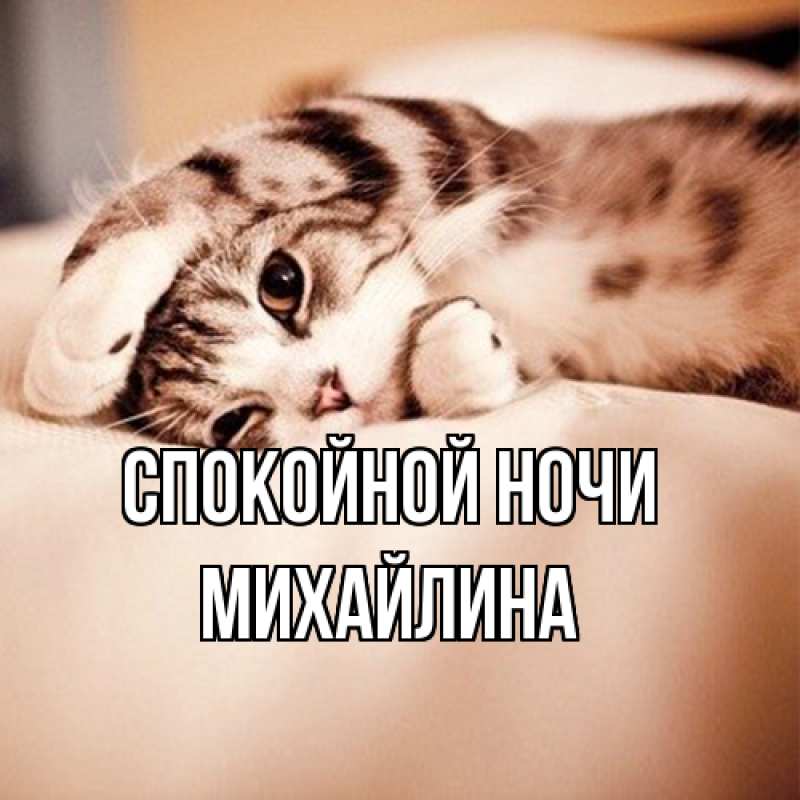 Картинка Спокойной ночи, Михайлина