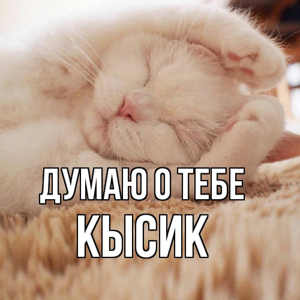 Открытка на каждый день с именем, Кысик Думаю о тебе для любимой девушки милота Прикольная открытка с пожеланием онлайн скачать бесплатно 