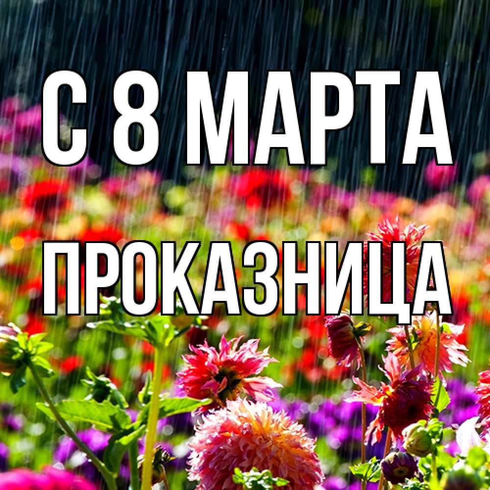 Открытка на каждый день с именем, Проказница C 8 МАРТА цветы под дождиком к международному женскому дню Прикольная открытка с пожеланием онлайн скачать бесплатно 